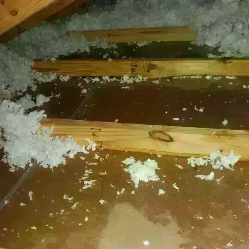 Attic Water Damage in Jefferson County, MO