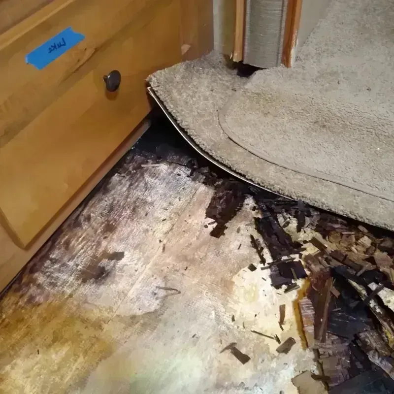 Wood Floor Water Damage in Jefferson County, MO